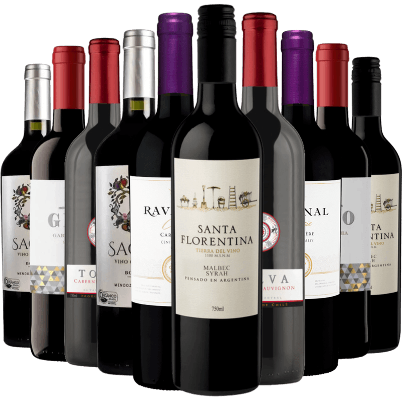 Kit 10 Vinhos Tintos Best Sellers