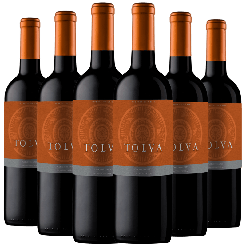 Kit 6 Garrafas Vinho  Tolva Carmenere