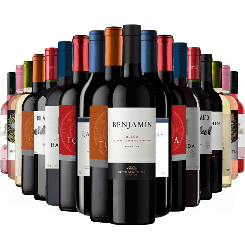 Kit 18 Garrafas Vinhos Imperdiveis