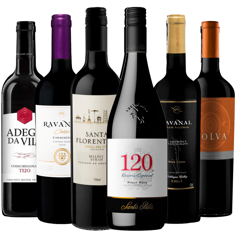 Kit 6 Vinhos Tintos Para Iniciantes