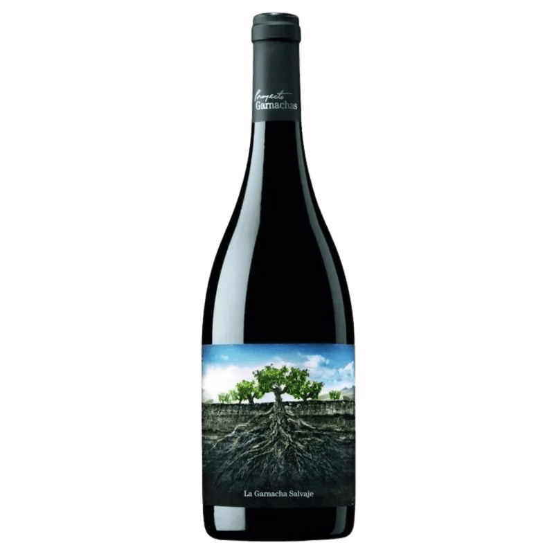 Vinho-Tinto-Espanhol-la-Garnacha-Salvaje-De-Moncayo