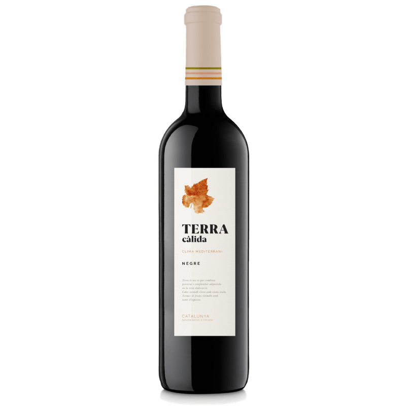 Vinho-Tinto-Espanhol-Terra-Calida