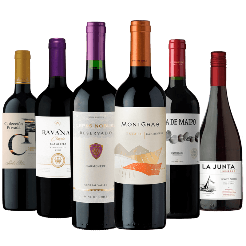 Kit-6-Vinhos-Tintos-Chilenos