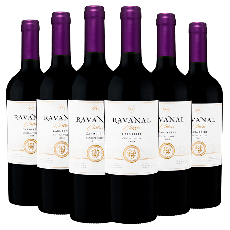 Kit-06-Garrafas-Vinho-Ravanal-CarmenEre
