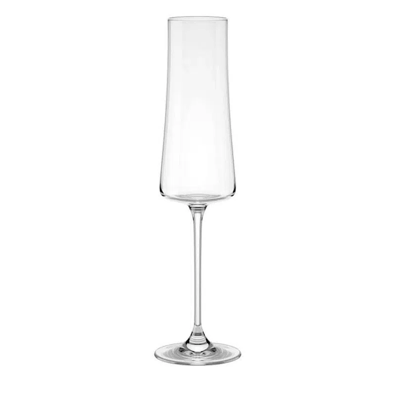 Taca-para-Espumante-Brinox-Haus-Pleasure-210ml