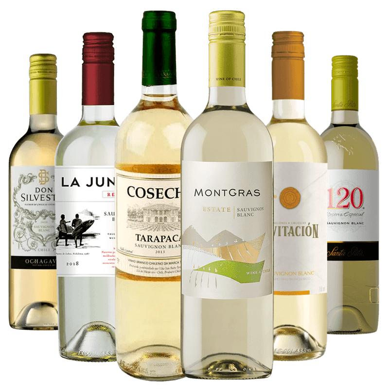 Kit-6-Vinhos-Sauvignon-Blanc