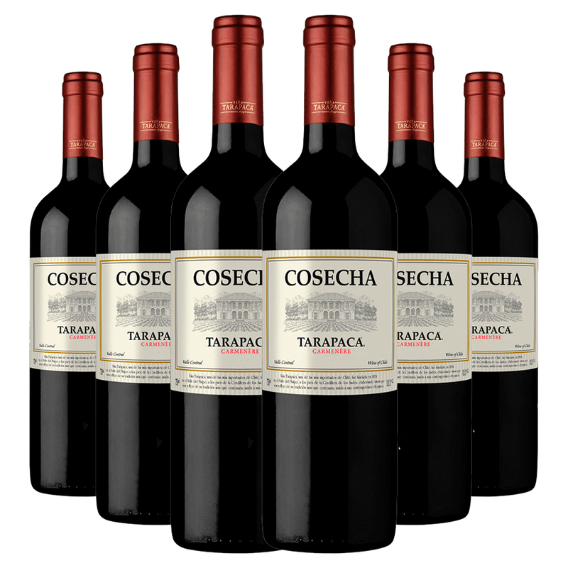 Kit-6-Garrafas-Tarapaca-Cosecha-CarmenEre