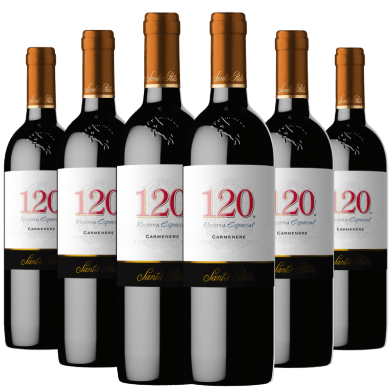 Kit-Caixa-Fechada-6-Garrafas-Santa-Rita-120-CarmenEre