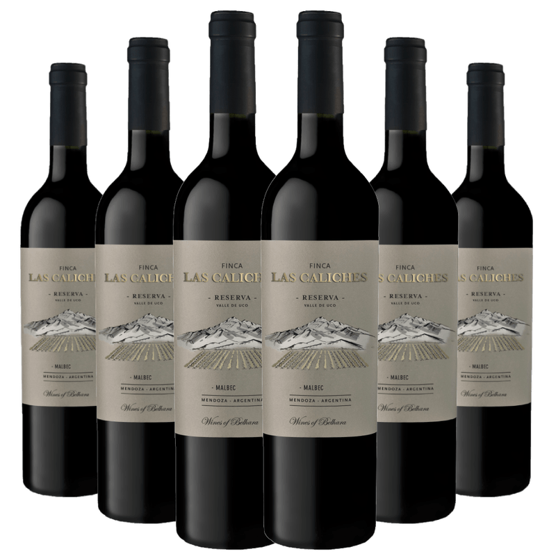 Kit-Caixa-Fechada-6-Vinhos-las-Caliches-Malbec