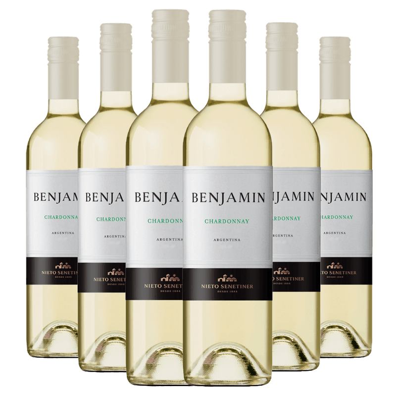 Kit-Caixa-Fechada-6-Vinhos-Branco-Benjamin-Chardonnay