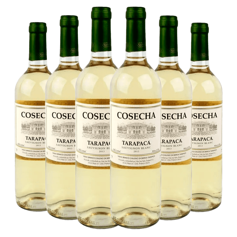 Kit-Caixa-Fechada-6-Vinhos-Branco-Tarapaca-Cosecha-Sauvignon-Blanc