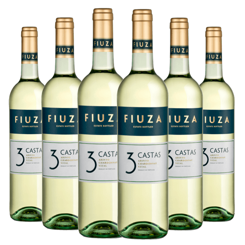 Kit-Caixa-Fechada-6-Vinhos-Branco-Fiuza-3-Castas-Blend