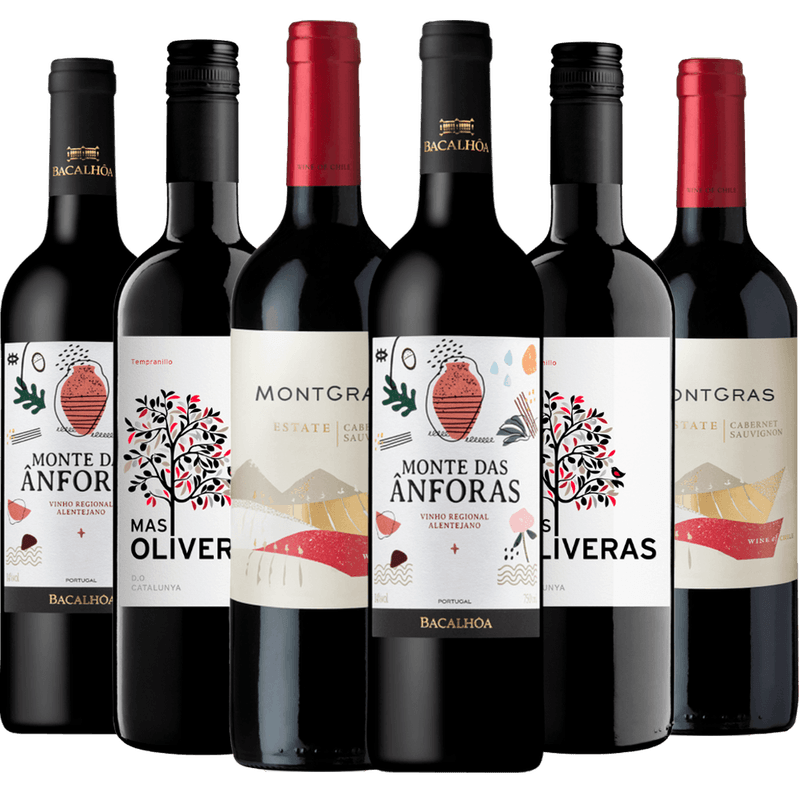 Kit-Selecao-6-Vinhos-Para-Presentear