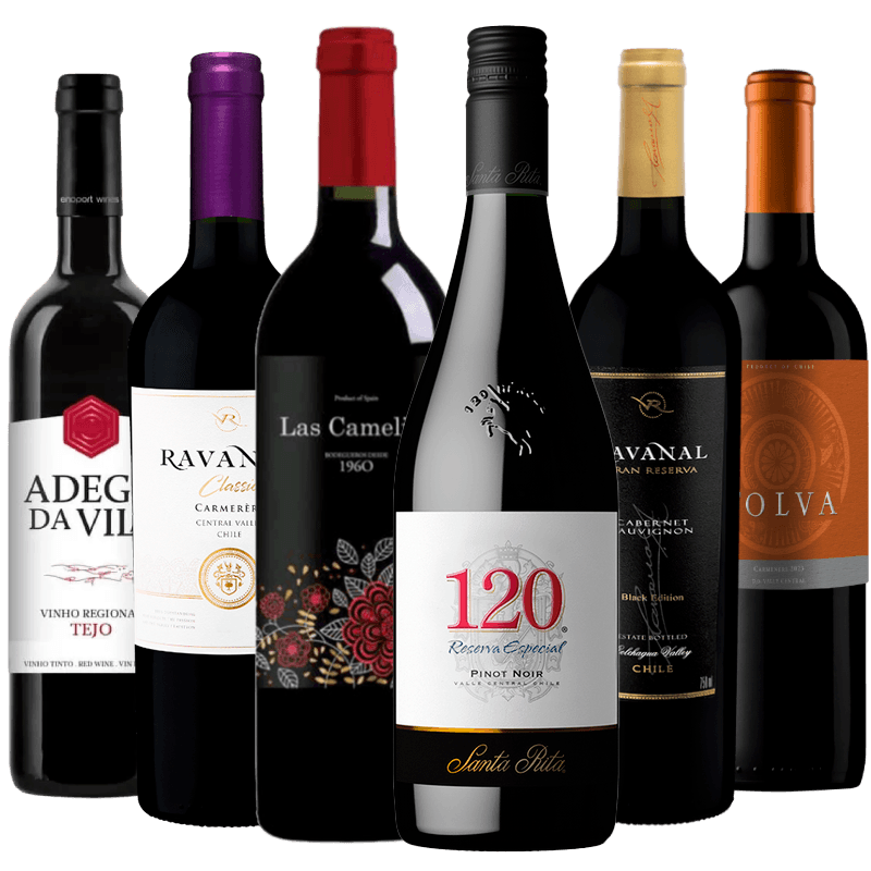 Kit-6-Vinhos-Tintos-Para-Iniciantes-