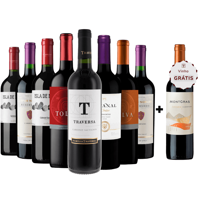 Kit 8 Vinhos Tintos + 1 Carmenere Chileno Gratis