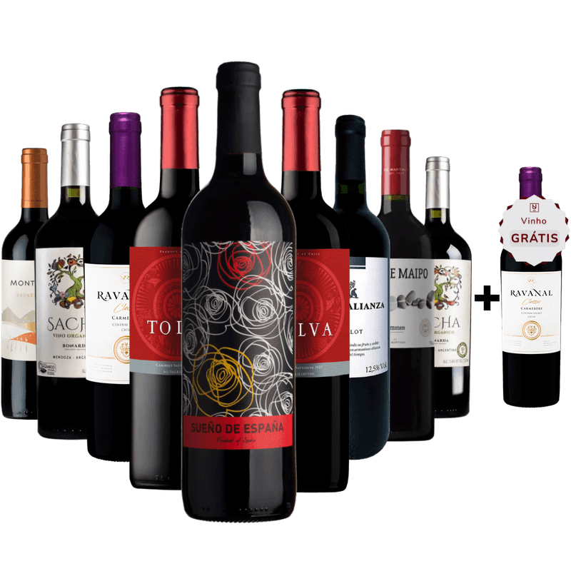 Kit 9 Vinhos + 1 Vinho Chileno Gratis