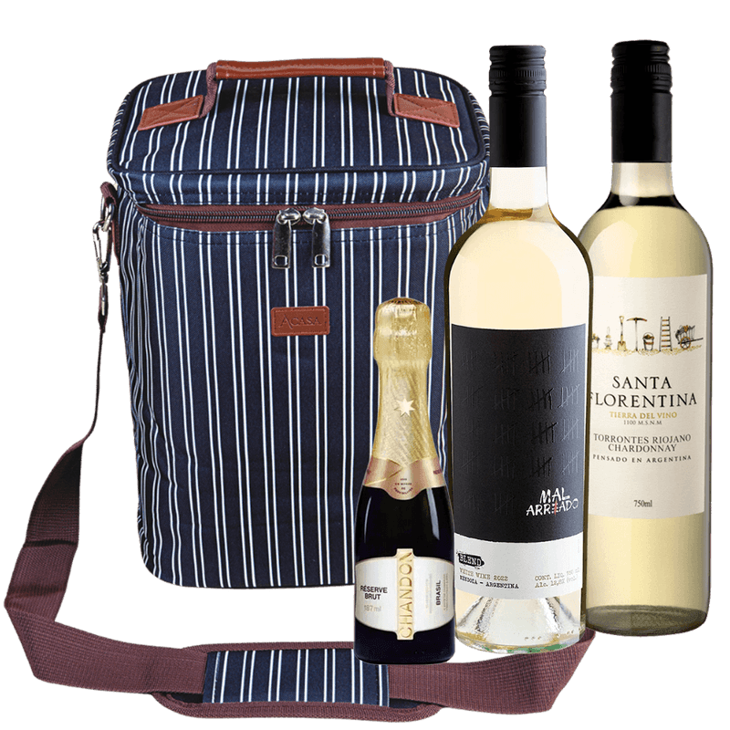 Kit-Presente-2-Vinhos---Bolsa-Termica-e-leve-Gratis-Chandon-baby