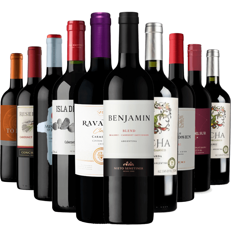Kit-5-Vinhos-Chilenos---5-Vinhos-Argentinos
