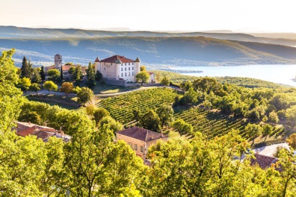 Conheça os vinhos de Provence e Rhône, na França